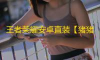王者荣耀安卓直装【猪猪侠】