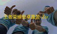 王者荣耀安卓直装-Zuse/宙斯辅助
