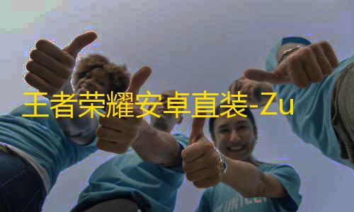 王者荣耀安卓直装-Zuse/宙斯辅助