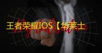 王者荣耀IOS【华莱士】辅助