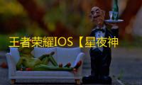 王者荣耀IOS【星夜神】辅助