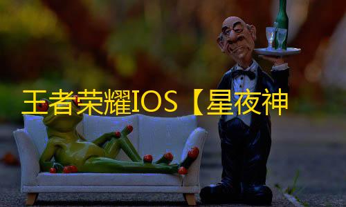 王者荣耀IOS【星夜神】辅助